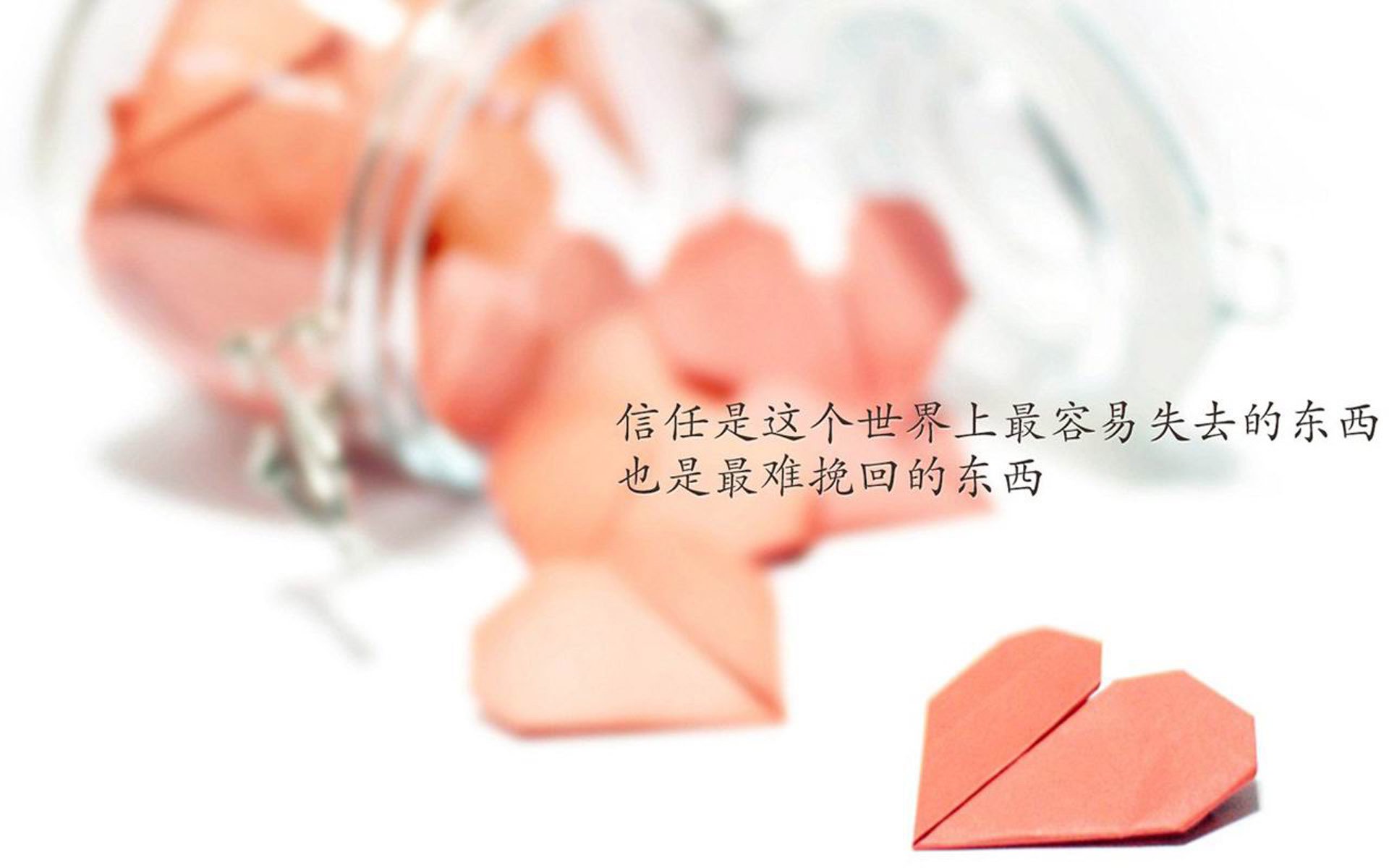 特色沙滩排球王者争霸，激情挥洒每一刻，沙滩排球 规则