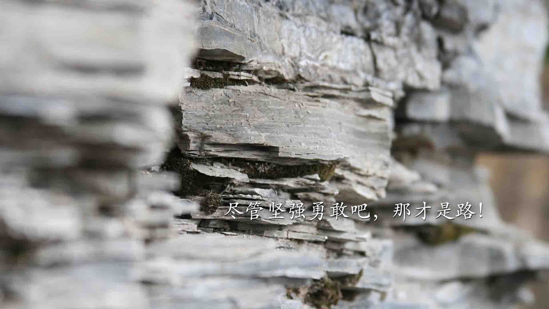 广东男篮取得关键胜利，稳健晋级，广东男篮取得关键胜利,稳健晋级的球员