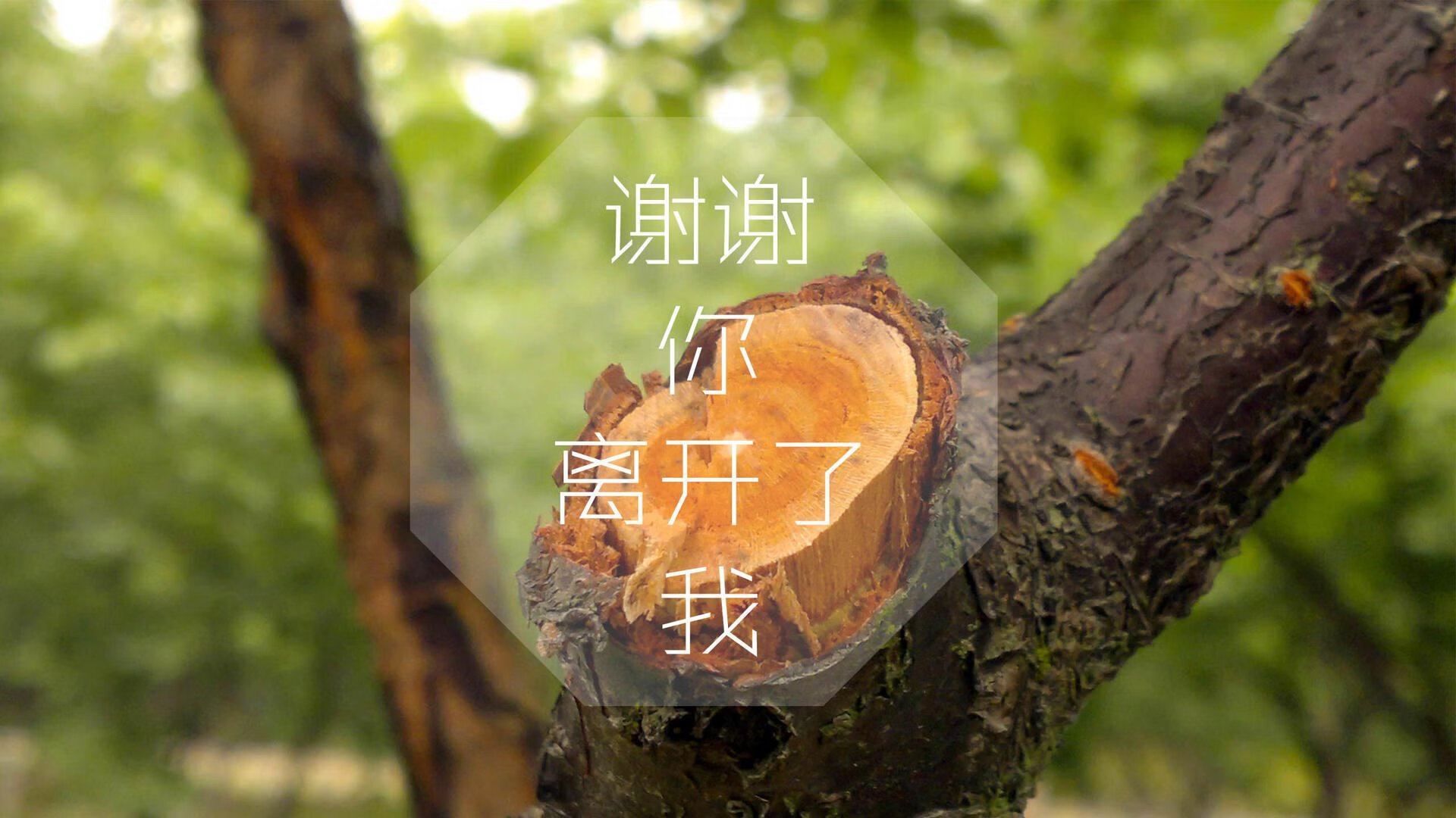 球迷对赛事关注度提升，热情高涨，球迷群体
