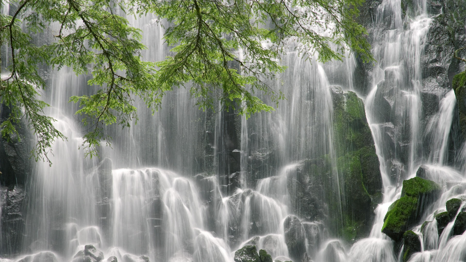 雷霆击败热火，全明星赛前哨战中亚历山大贡献关键助攻，亚历山大雷霆百度百科