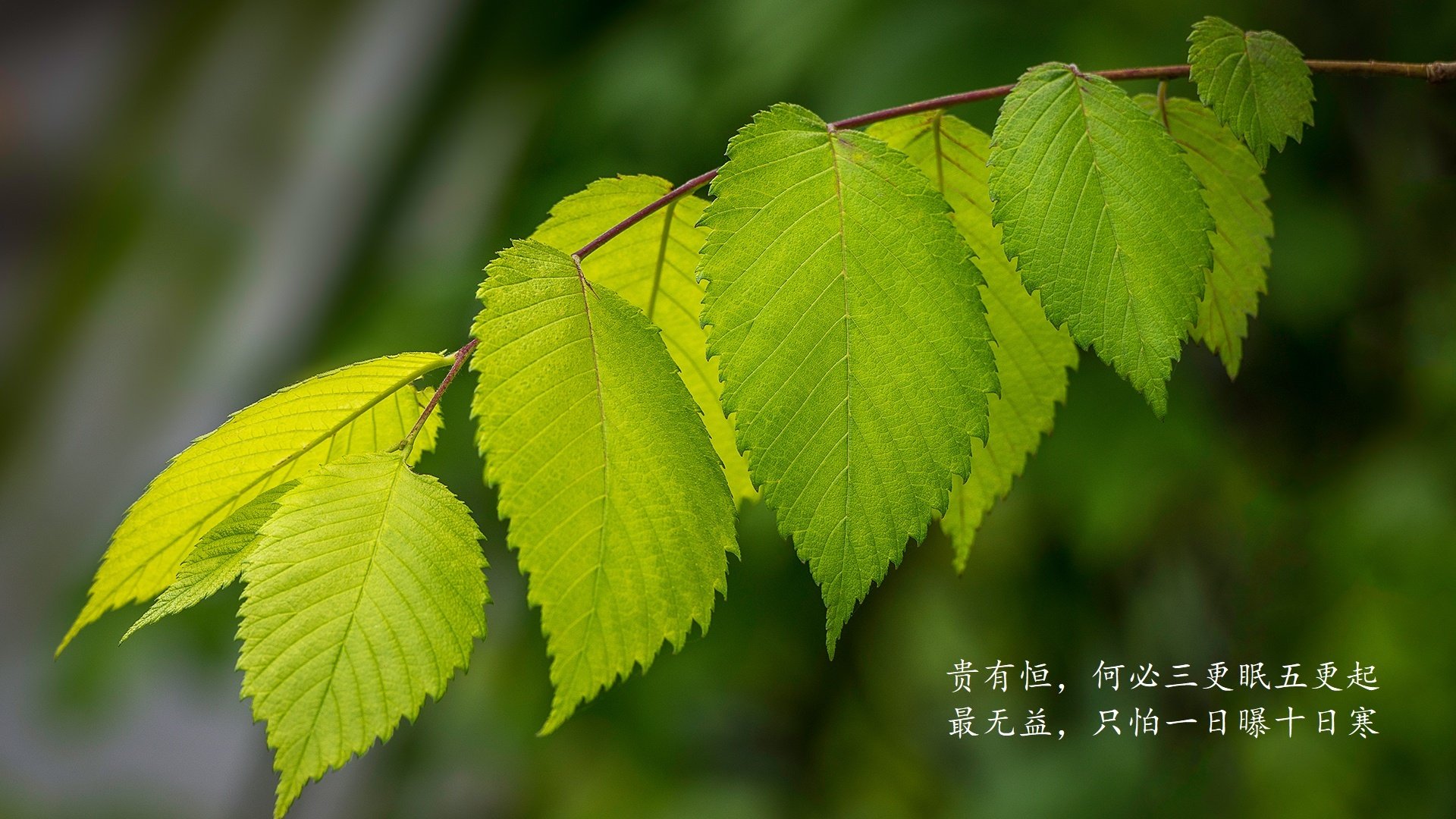 马竞主场惨败，积分榜榜首位置或将失守，马竞领先10分