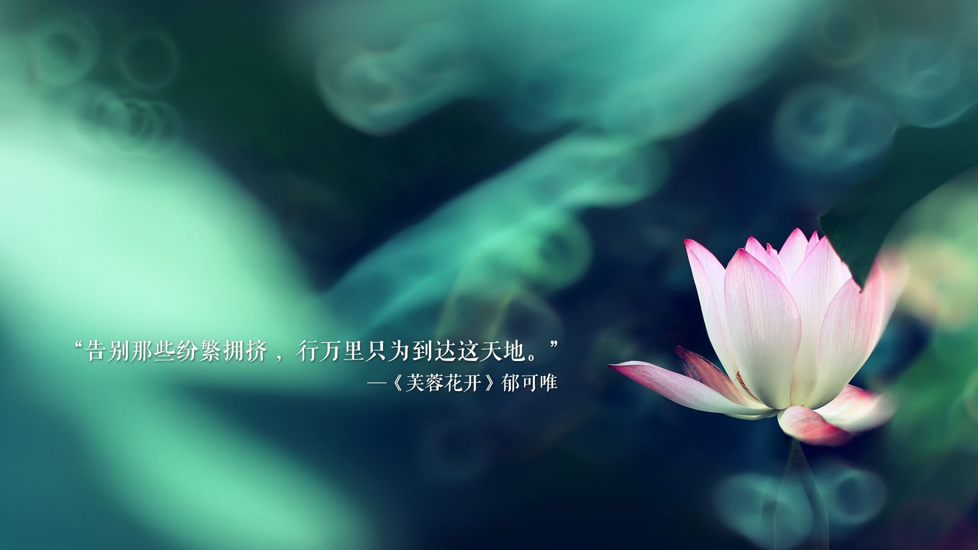 基层俱乐部获得政策扶持，俱乐部建立机制