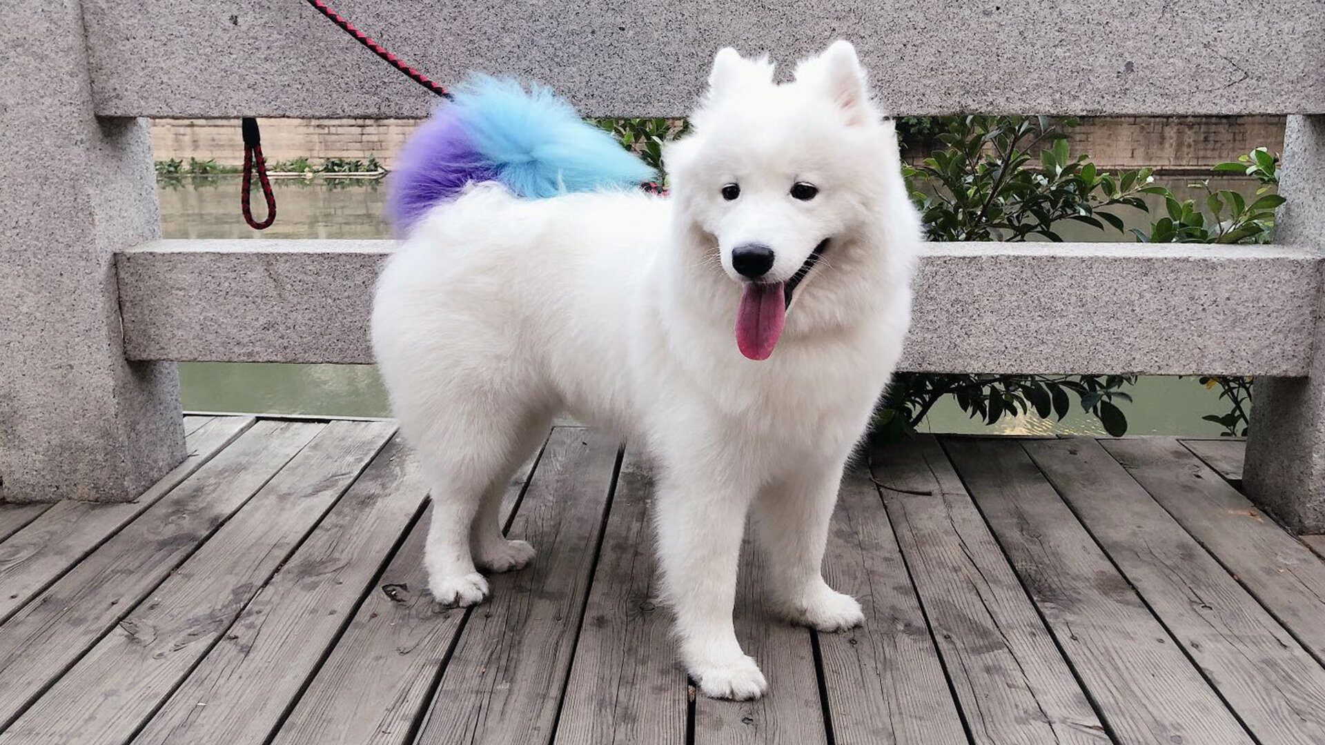 湖人创造历史NBA总决赛,湖人创造历史nba总决赛视频