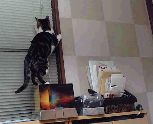 爱游戏体育平台-王宗源赛场风采尽显未来之星，王宗源vlog