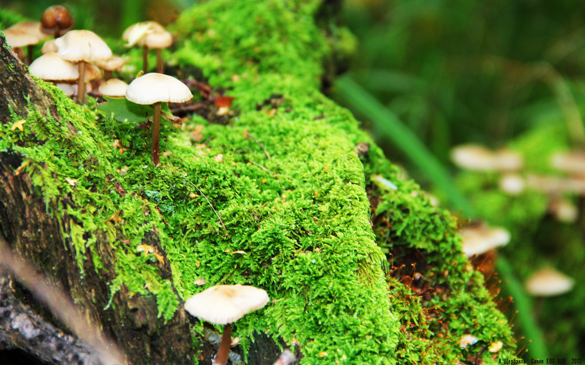 篮球分析平台上线支持数据可视化提升战术研究效率,篮球分析软件排行榜