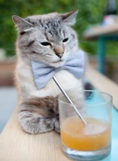 爱游戏中国官方登录入口网站-篮球公益项目助力贫困地区篮球普及和人才发现，篮球公益营销策划方案