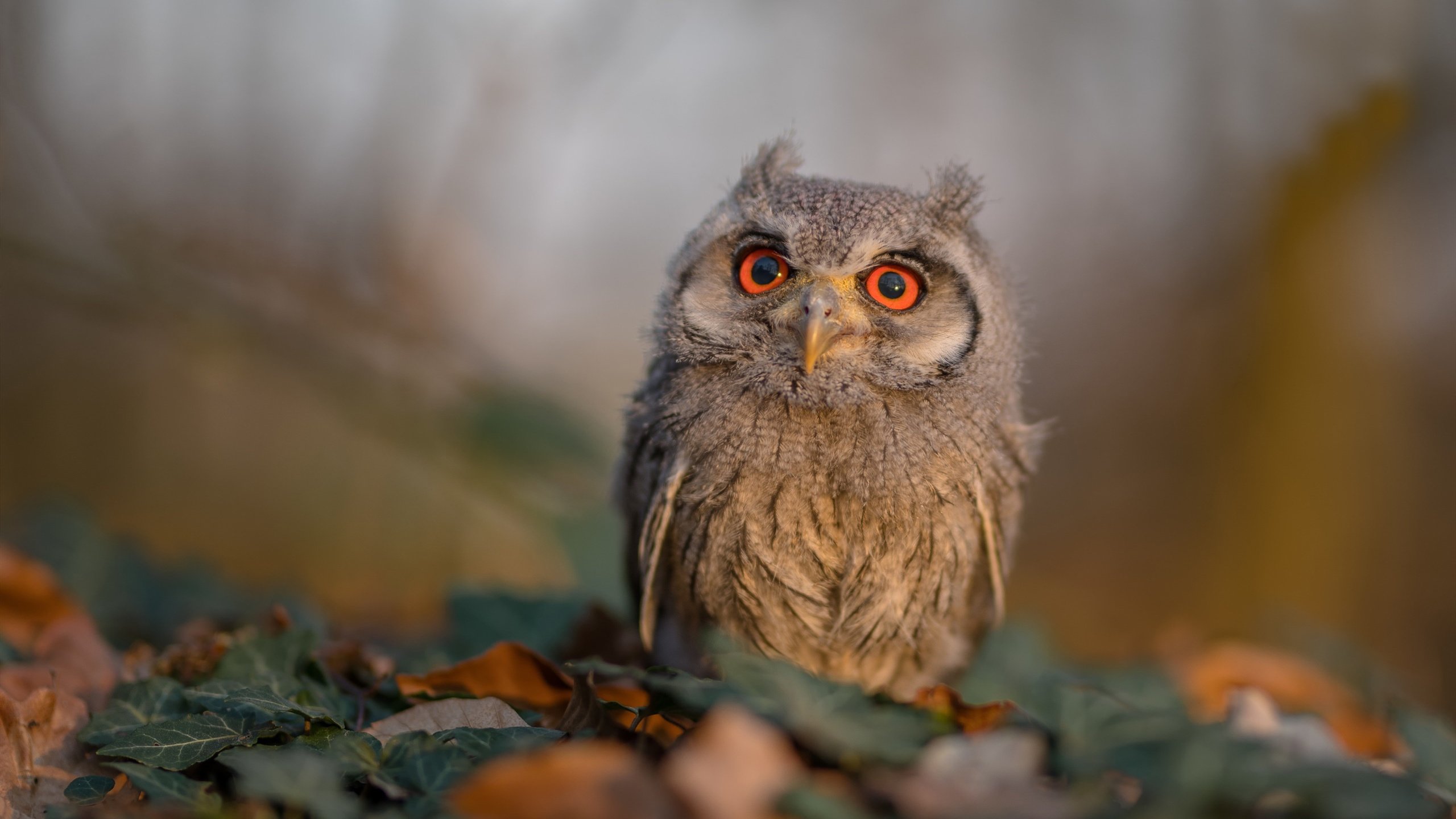 训练现场设置技术测评通道确保每名球员都能科学进步,训练测试比例