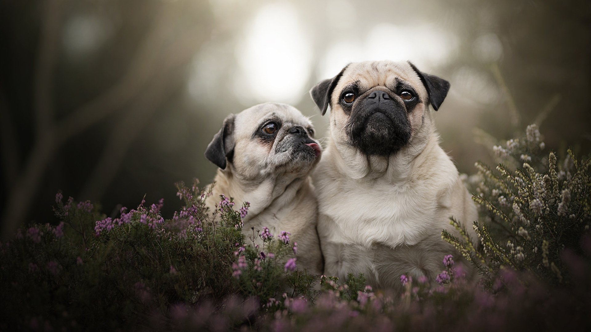 马刺新赛季目标定为争取稳定战绩与成长,马刺下赛季